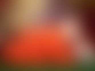 Shi Yan Ming: Bringing Shaolin Martial Arts and Shaolin Philosophy to America!