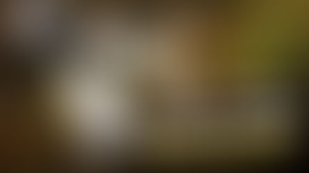 Jesse Enkamp Reflects on His All-Time Favorite Interviews! (PART 3 Video)