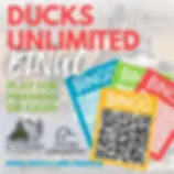 Ducks unlimited bingo st john indiana