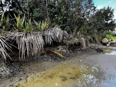 March 2022 Storm Pt2