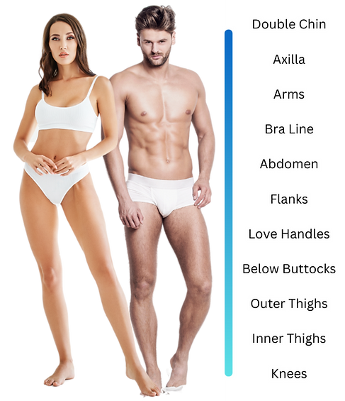 MediShape Areas (3).png
