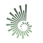 logo without back