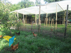 FINCA ORMARI-19