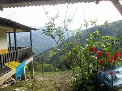 FINCA LA SOLEDAD-29