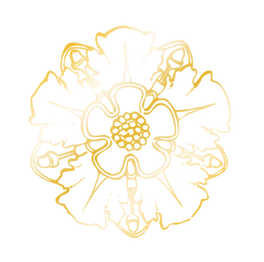 flower-png.png