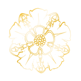 flower-png.png