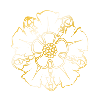 flower-png.png