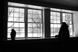 IMG_0002.jpg