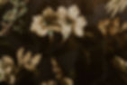 Spaces-nomodels-09.jpg