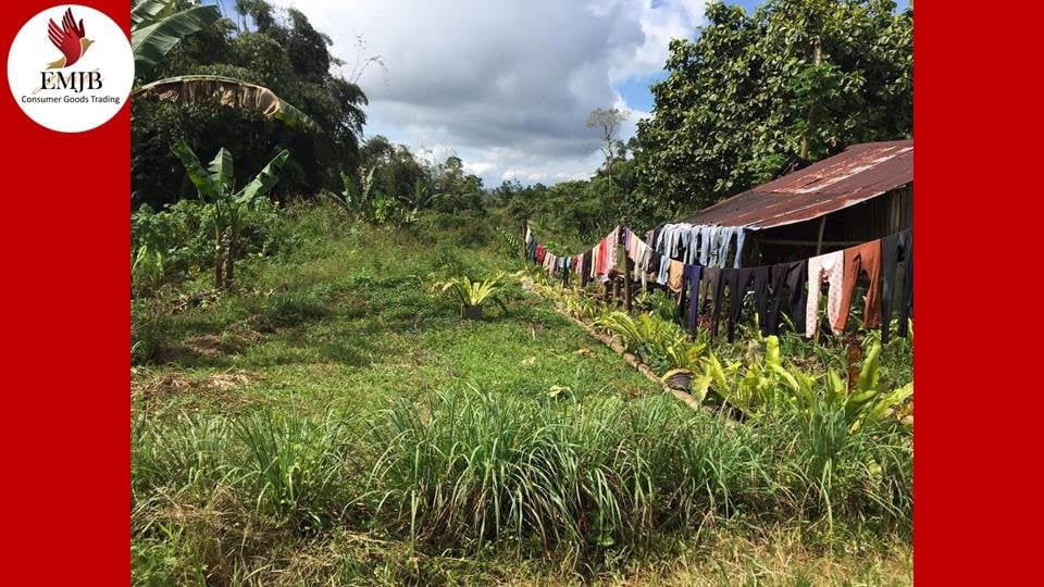 Thumbnail: Claveria 2 Hectares