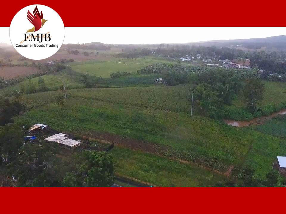 Thumbnail: Claveria 114,831 sqm