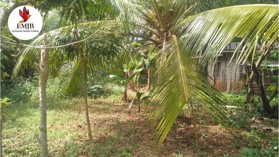 Thumbnail: Laguindingan 2,300 sqm