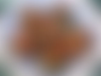 Meatball Mania: French Caillette