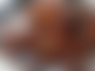 Chicken Cacciatore, a Campania classic.