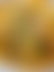 2026 Oscars Tasting Menu: Train Dreams