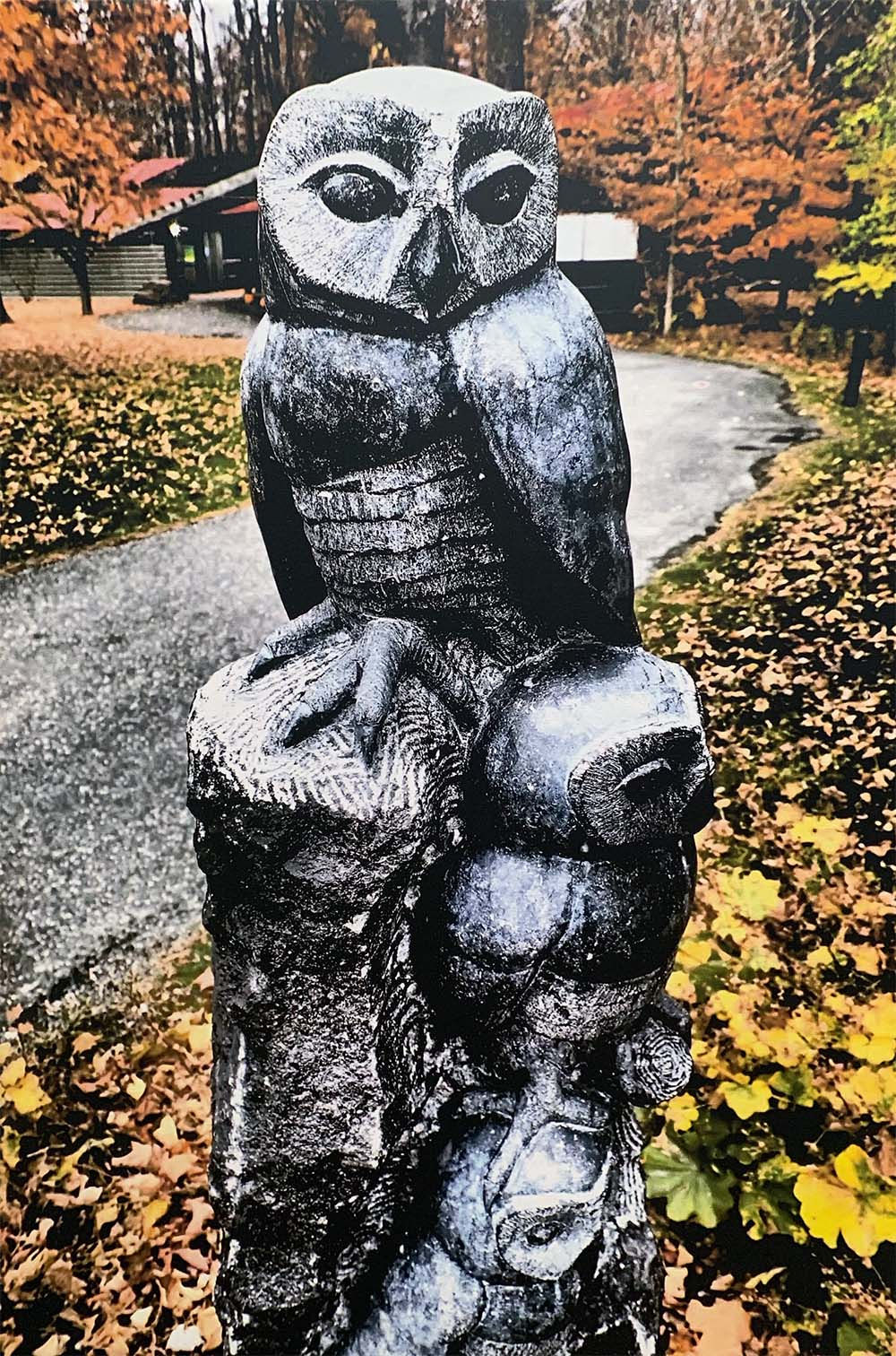 Majestic Owl Photograph on Canvas