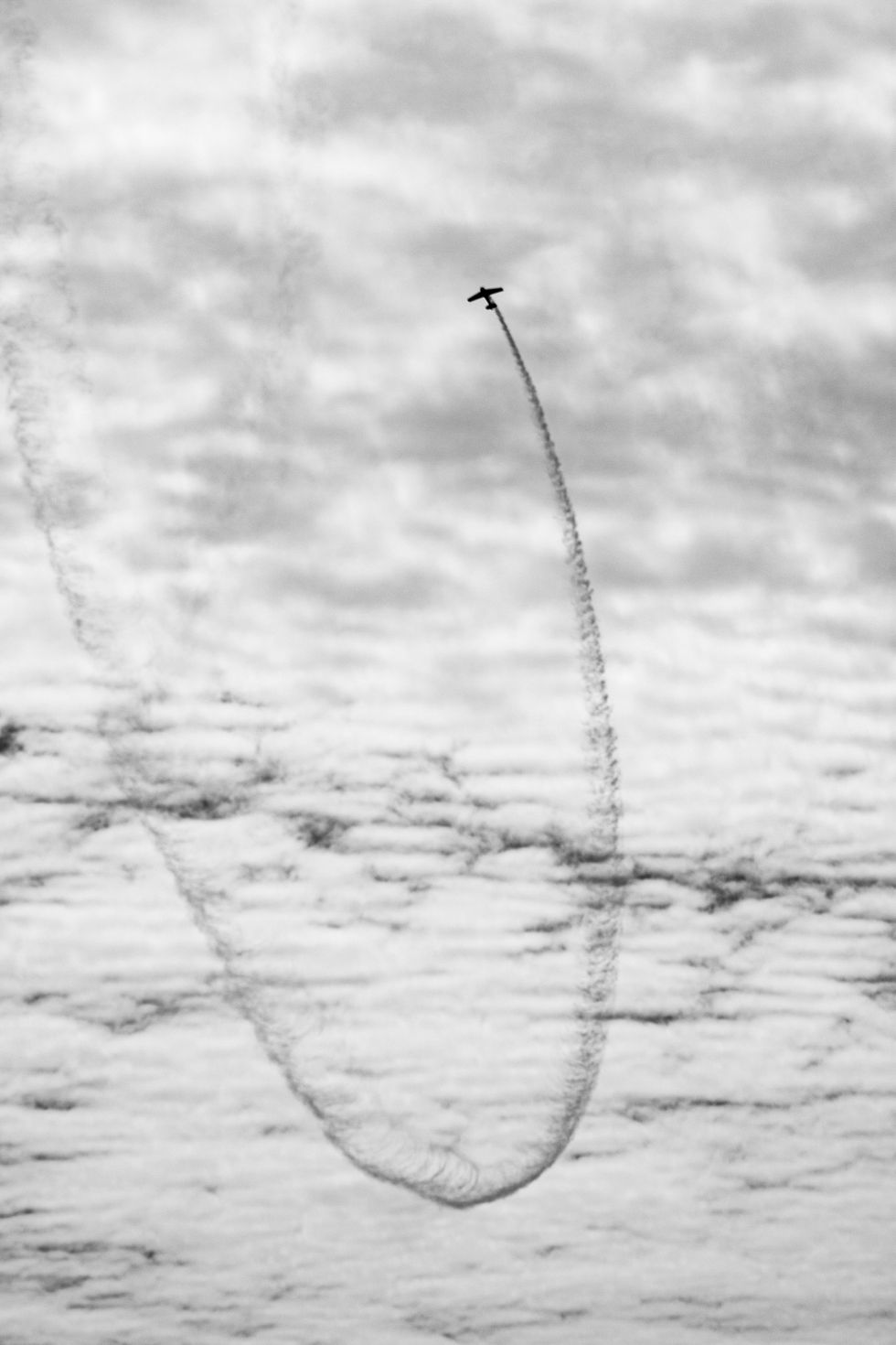 IMG_5920