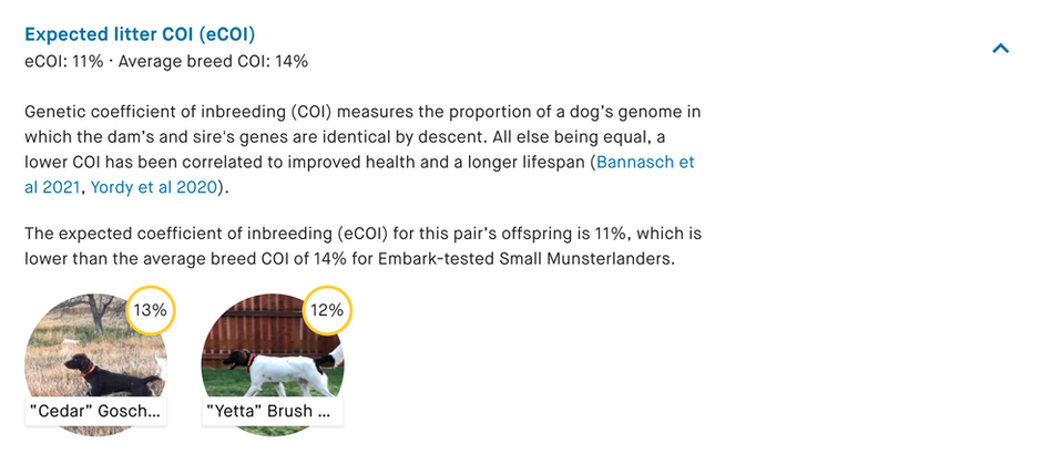 This article is intended as an educational resource for breeders and buyers alike. The goal is not to replace pedigree analysis, but to explain why genetic COI adds an important layer of clarity, and how using both tools together supports better long-term stewardship of the breed.