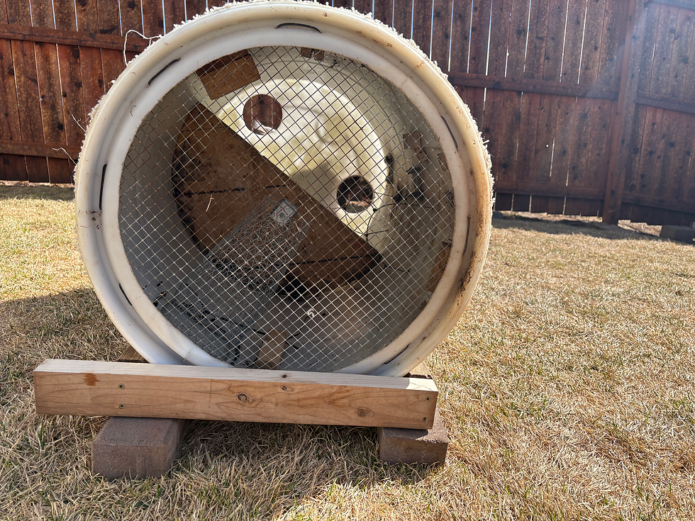Whoa barrel that seconded as a Johnny House for chukar