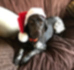 Glitzy wishes you a Merry Christmas!