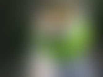 Cedars Point Kennel H Litter Chillin'