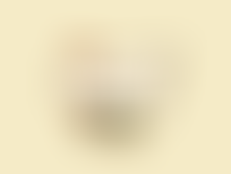 How much light do Marantaceae need?