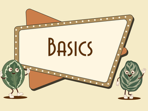 What are Marantaceae?