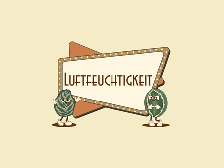 Wieviel Luftfeuchtigkeit brauchen Calatheas?