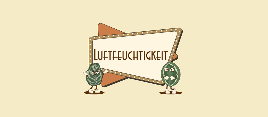 Wieviel Luftfeuchtigkeit brauchen Calatheas?