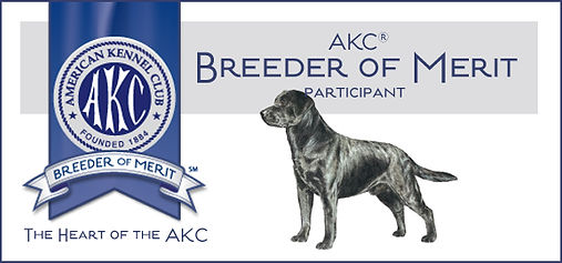 LabradorRetrieverBlack_BoM_Banner.jpg