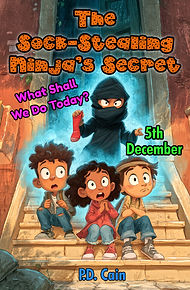 5th December The Sock-Stealing Ninja's Secret cover.jpg