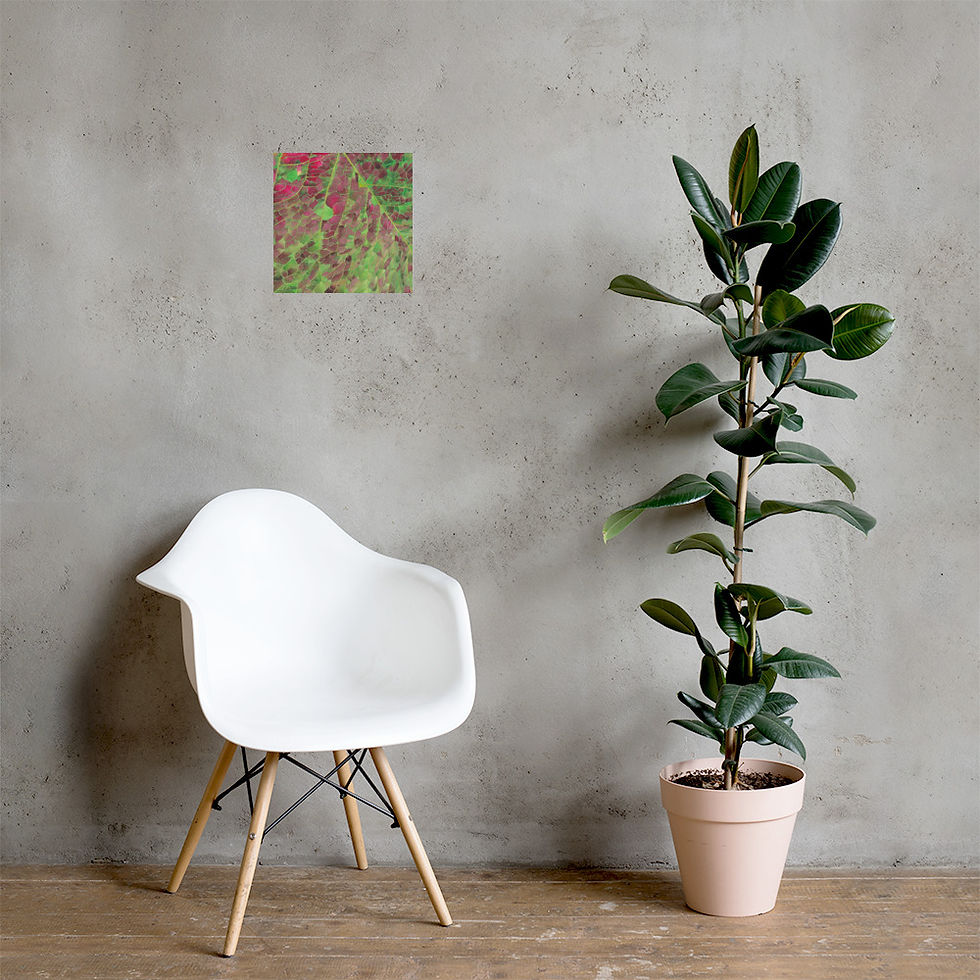 Thumbnail: Poster (Gold-Veined Leaf)