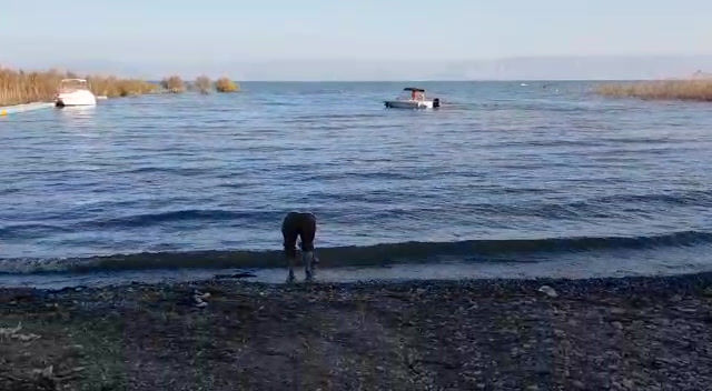 Thumbnail: The Sea of Galilee - 5 Circles (#1)