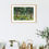 Thumbnail: Pine Forest of Karen HaCarmel