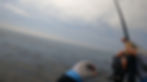 ree