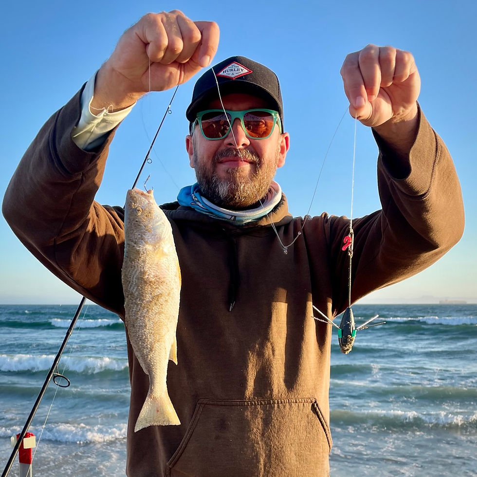 Yellowfin Croaker Fishing Guide Bag Limits, Baits, Rigs, Setups