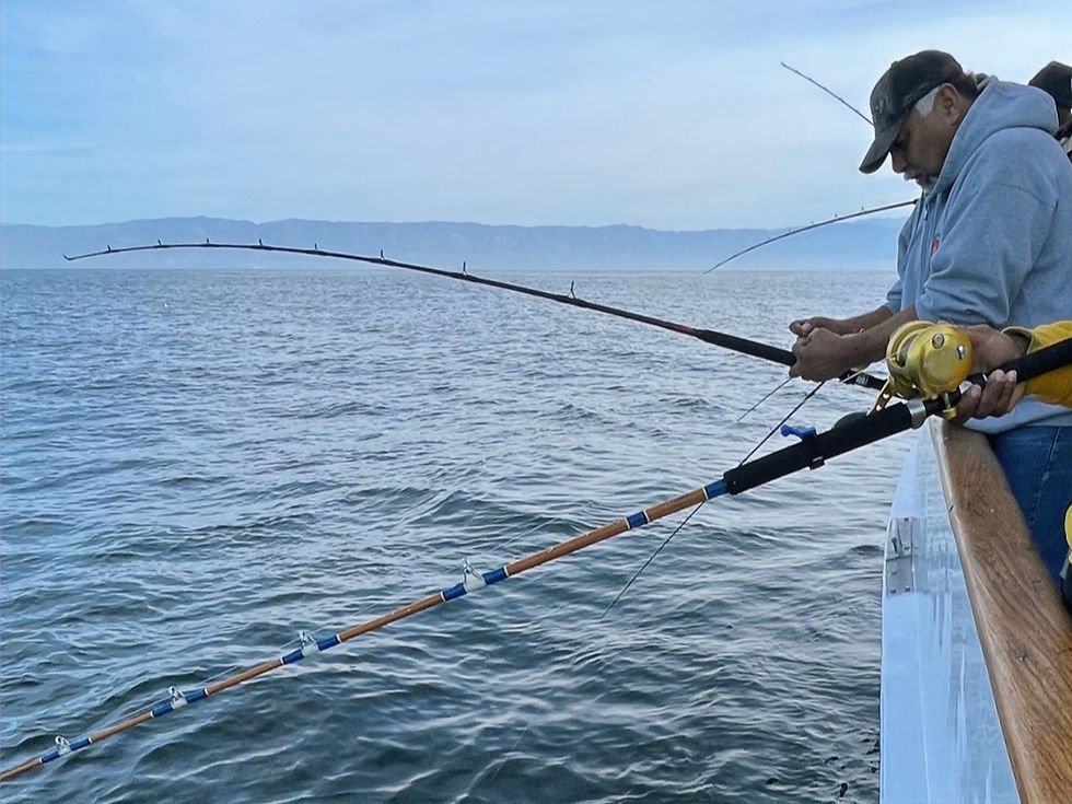 best rockfish fishing rod