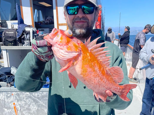 Rockfish Fishing Tips & Guides | American Sea Fishing