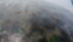 ree