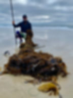 tips for California Surf Fishing