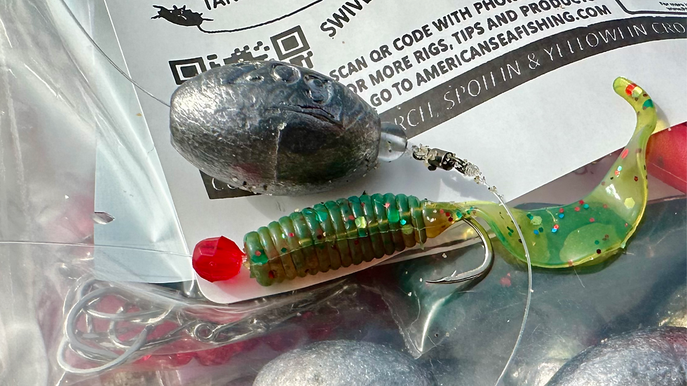 Ultimate Surf Perch Fishing Guide - Rigs, Baits, Setups, Species