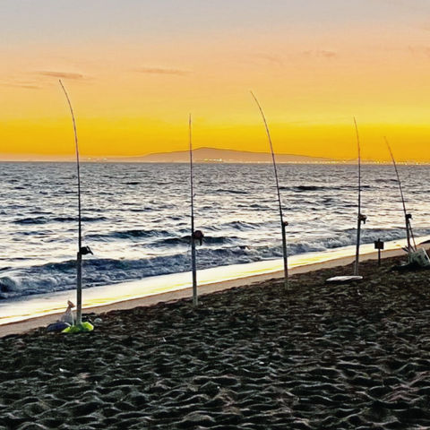 Land Based Shark Fishing Rigs Setups Tackle