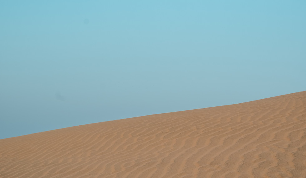 DSC_2275.jpg
