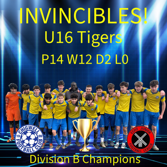 U16 Tigers