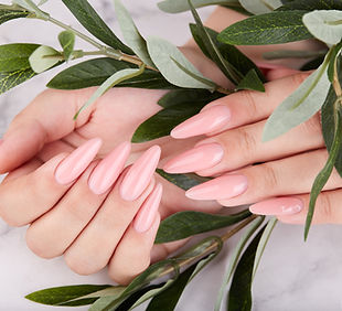 Hands with long artificial manicured nails colored with pink nail polish. Fashion and styl