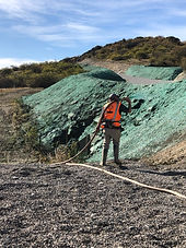 hydroseeding road verge