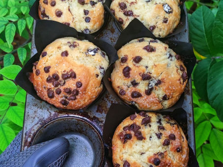 Chocolate Chip Muffin
