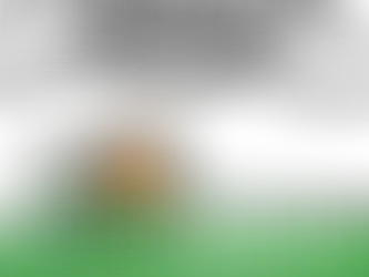 Windows Confirmation Dialogue Exploit, how to identify it, what it does, how to proceed.