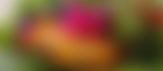 Check out these early front-runners for 2021's Dish of the Year