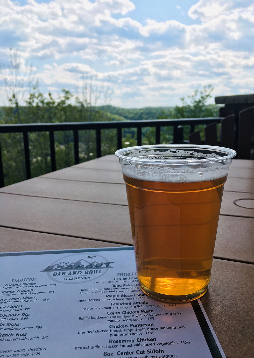 Brews and Views at The Lookout